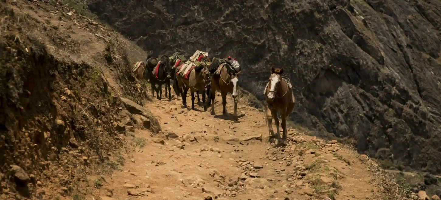 Choquequirao Trek 4 Days from Cusco — Peru’s Lost Inca City