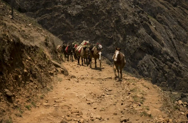 Choquequirao Trek 4 Days