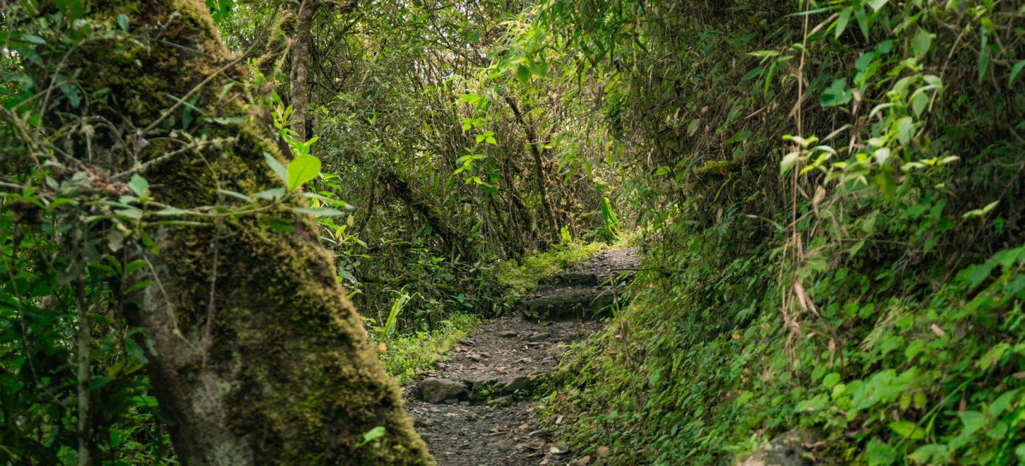 INCA TRAIL 2 DAYS TO MACHU PICCHU