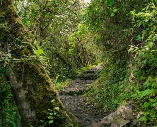 SALKANTAY TREK 4 DAYS TO MACHU PICCHU VIA LLACTAPATA: All the Highlights in Less Time