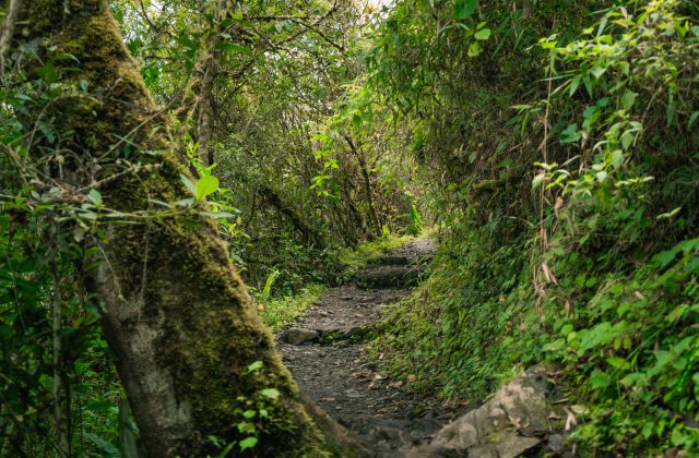 SALKANTAY TREK 3 DAYS TO MACHU PICCHU