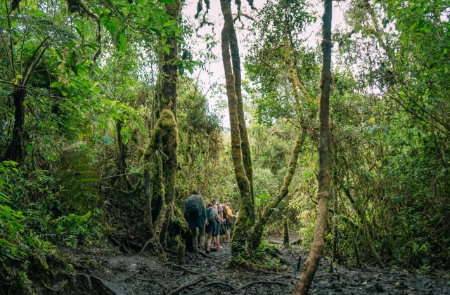 INCA TRAIL 4 DAYS TO MACHU PICCHU