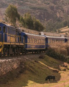 MACHU PICCHU TOUR 1 DAY