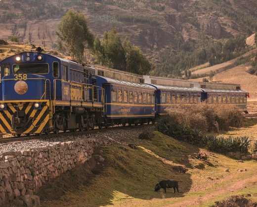 INCA TRAIL 1 DAY TOUR TO MACHU PICCHU: Hike the Legendary Path in a Single Day