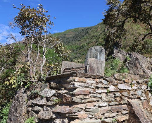 INCA JUNGLE TRAIL 4 DAYS TO MACHU PICCHU