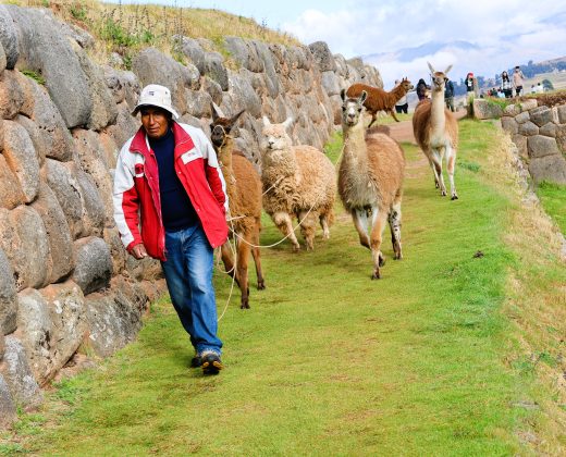 SACRED VALLEY OF THE INCAS FULL DAY TOUR: Chinchero, Moray, Maras, Ollantaytambo and Pisac