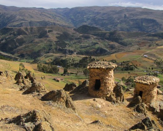 AMAZON TOUR MANU CULTURAL ZONE 4 DAYS: Cloud Forest, River and Rainforest from Cusco