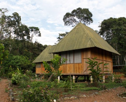 AMAZON TOUR MANU CULTURAL ZONE 4 DAYS: Cloud Forest, River and Rainforest from Cusco