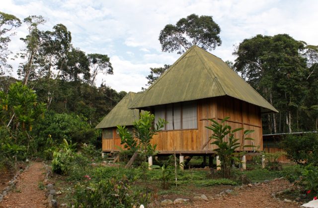 AMAZON TOUR MANU CULTURAL ZONE 4 DAYS