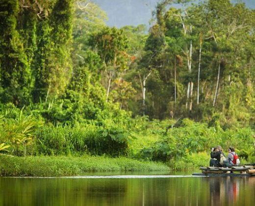 AMAZON TOUR MANU CULTURAL ZONE 4 DAYS: Cloud Forest, River and Rainforest from Cusco