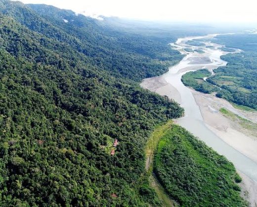 AMAZON TOUR MANU CULTURAL ZONE 4 DAYS: Cloud Forest, River and Rainforest from Cusco