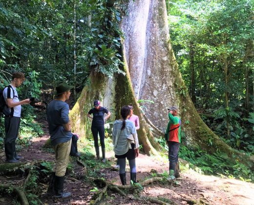 AMAZON TOUR MANU CULTURAL ZONE 4 DAYS: Cloud Forest, River and Rainforest from Cusco