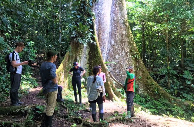 AMAZON TOUR MANU CULTURAL ZONE 4 DAYS