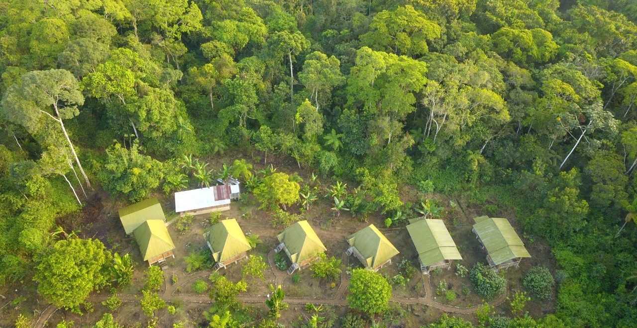 AMAZON TOUR MANU CULTURAL ZONE 3 DAYS