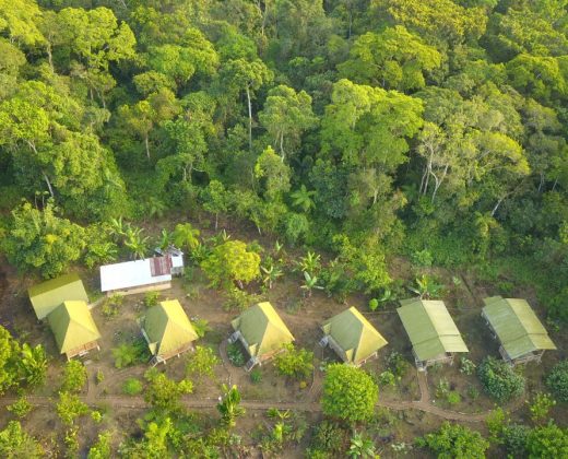 AMAZON TOUR MANU CULTURAL ZONE 4 DAYS: Cloud Forest, River and Rainforest from Cusco