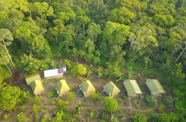 TAMBOPATA NATIONAL RESERVE 2 DAYS TOUR | SANDOVAL LAKE & CHUNCHO MACAW CLAY LICK