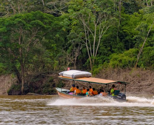 AMAZON TOUR MANU CULTURAL ZONE 4 DAYS: Cloud Forest, River and Rainforest from Cusco