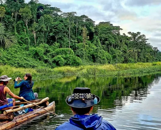 AMAZON TOUR MANU CULTURAL ZONE 4 DAYS: Cloud Forest, River and Rainforest from Cusco