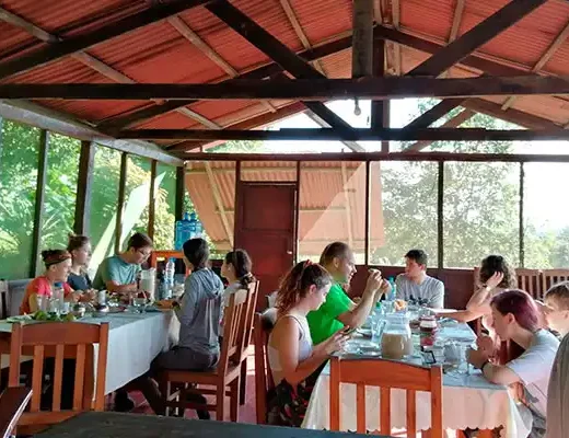 AMAZON TOUR MANU CULTURAL ZONE 4 DAYS: Cloud Forest, River and Rainforest from Cusco
