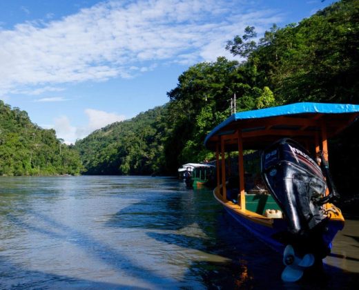 AMAZON TOUR MANU CULTURAL ZONE 4 DAYS: Cloud Forest, River and Rainforest from Cusco