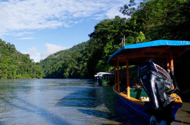 AMAZON TOUR MANU CULTURAL ZONE 4 DAYS