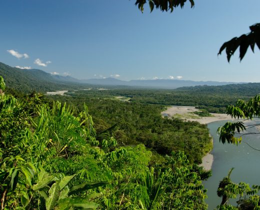 AMAZON TOUR MANU CULTURAL ZONE 4 DAYS: Cloud Forest, River and Rainforest from Cusco