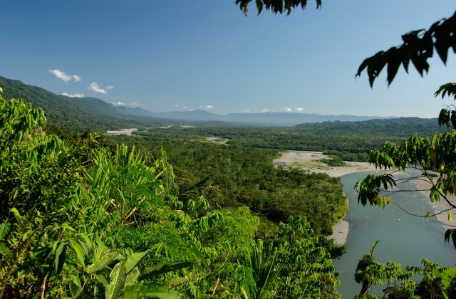 TAMBOPATA NATIONAL RESERVE 2 DAYS TOUR | SANDOVAL LAKE & CHUNCHO MACAW CLAY LICK