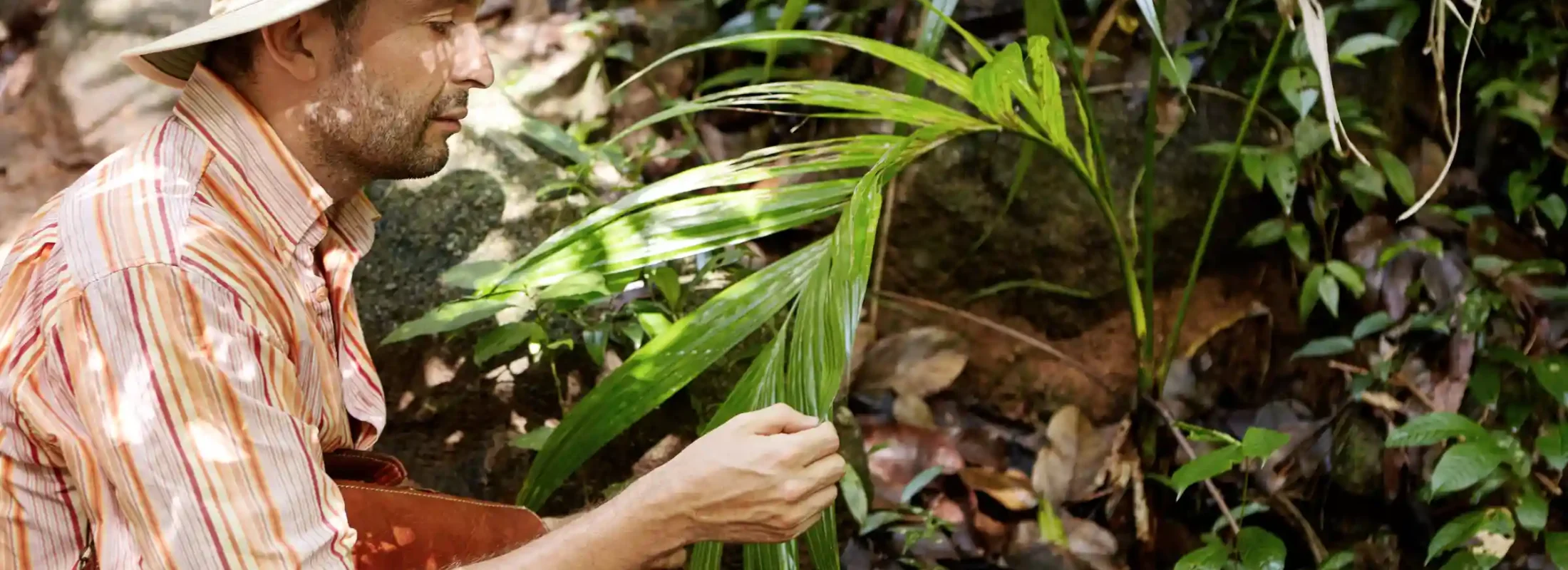 AMAZON TOUR MANU CULTURAL ZONE 4 DAYS: Cloud Forest, River and Rainforest from Cusco