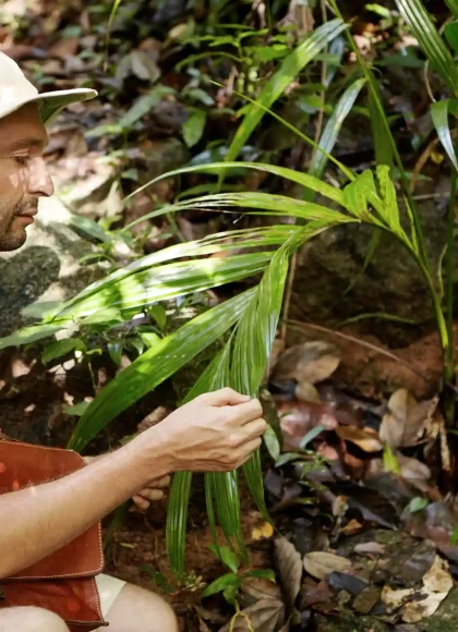 AMAZON TOUR MANU CULTURAL ZONE 4 DAYS – 3 NIGHTS