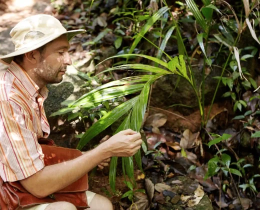 AMAZON TOUR MANU CULTURAL ZONE 4 DAYS – 3 NIGHTS