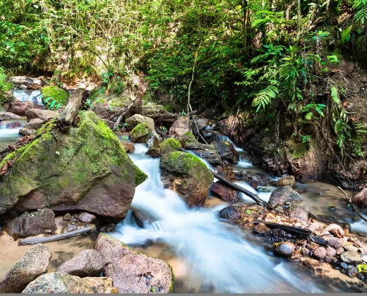 Manu Jungle Tour 3 Days: The Amazon Cultural Zone from Cusco