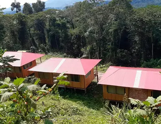 AMAZON TOUR MANU CULTURAL ZONE 4 DAYS: Cloud Forest, River and Rainforest from Cusco