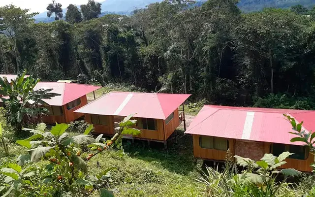 AMAZON TOUR MANU CULTURAL ZONE 4 DAYS