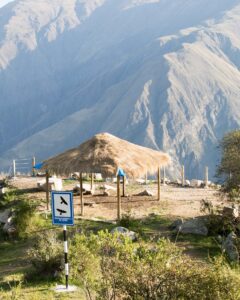 Chonta Condor Canyon Tour: Andean Condors Over the Apurímac Canyon