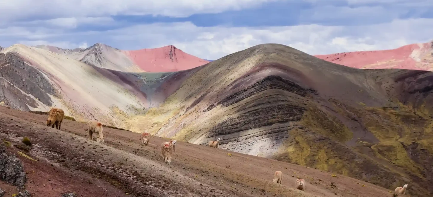 PALCOYO RAINBOW MOUNTAIN FULL-DAY TOUR