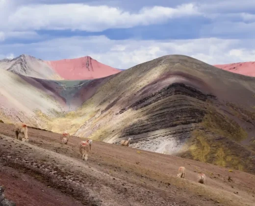 PALCOYO MOUNTAIN FULL-DAY TOUR