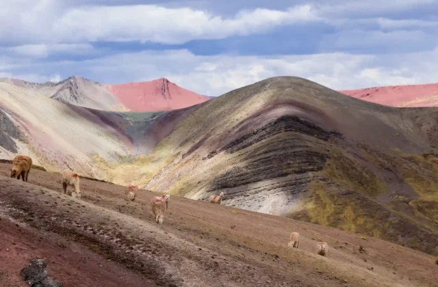 PALCOYO MOUNTAIN FULL-DAY TOUR
