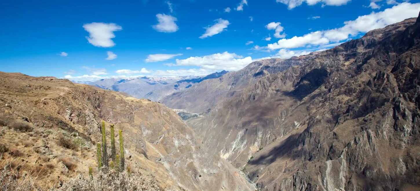Tour Condor Canyon Chonta – 1 Day Tour Condor Canyon Chonta – 1 Day