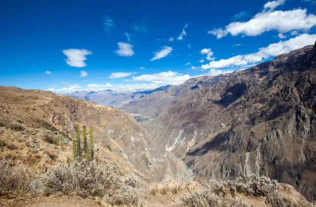 COLCA CANYON FULL DAY TOUR