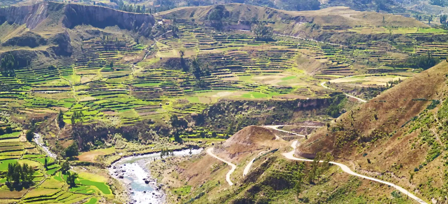 Tour Condor Canyon Chonta – 1 Day Tour Condor Canyon Chonta – 1 Day