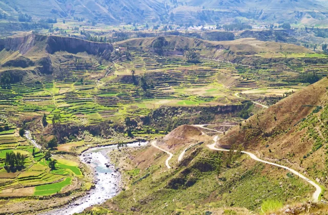 COLCA CANYON FULL DAY TOUR