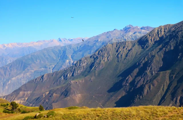 COLCA CANYON FULL DAY TOUR