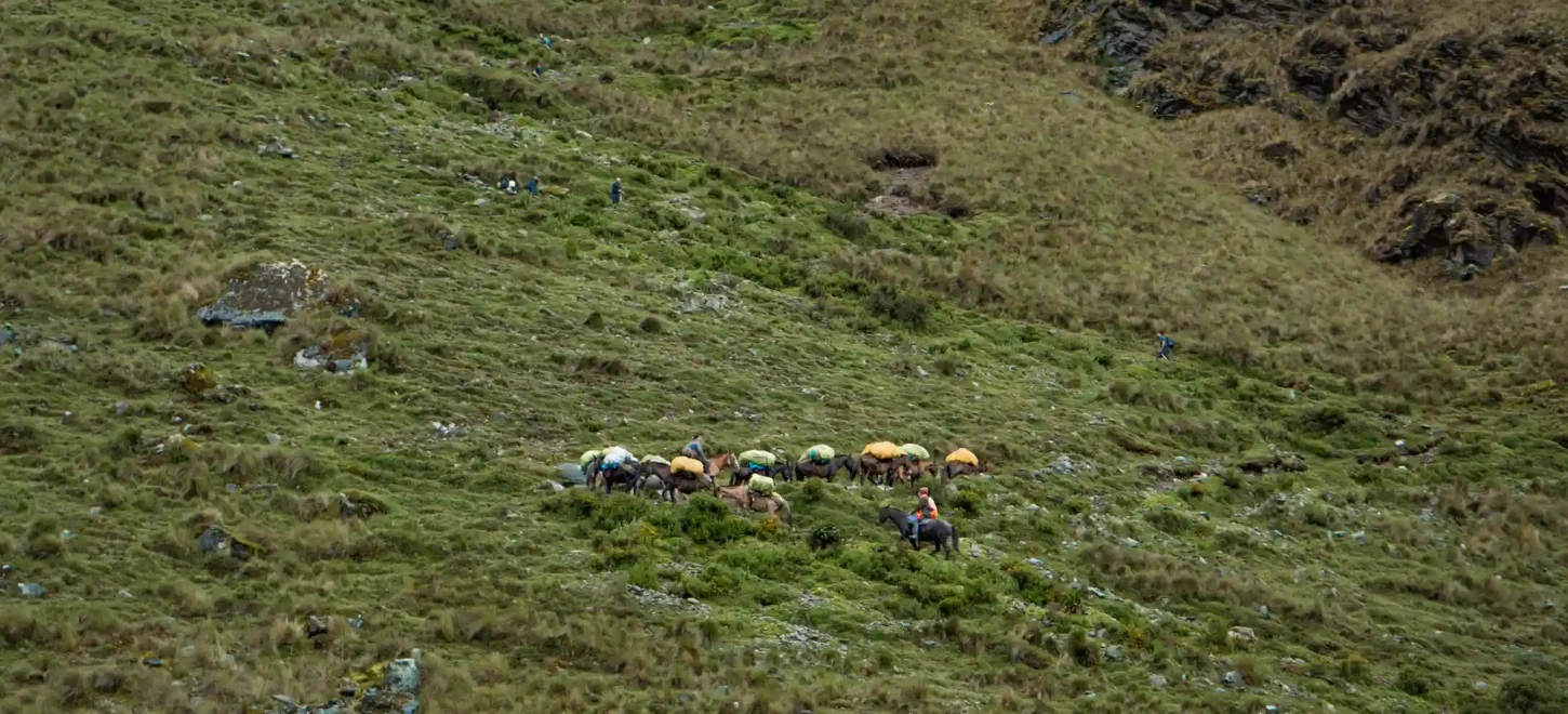 INCA JUNGLE TRAIL 4 DAYS TO MACHU PICCHU INCA JUNGLE TRAIL 4 DAYS TO MACHU PICCHU