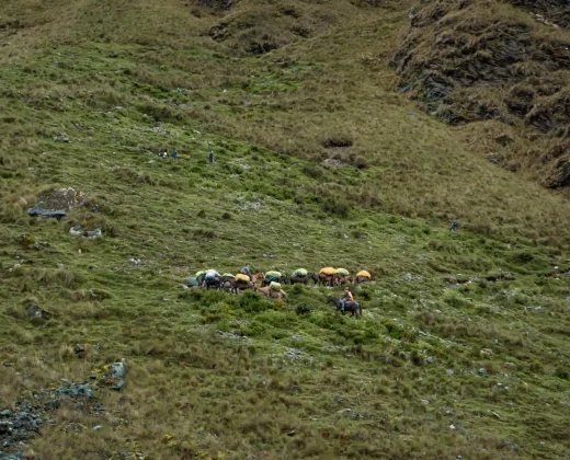 New Salkantay Trek + Machu Picchu By Car 4 Days