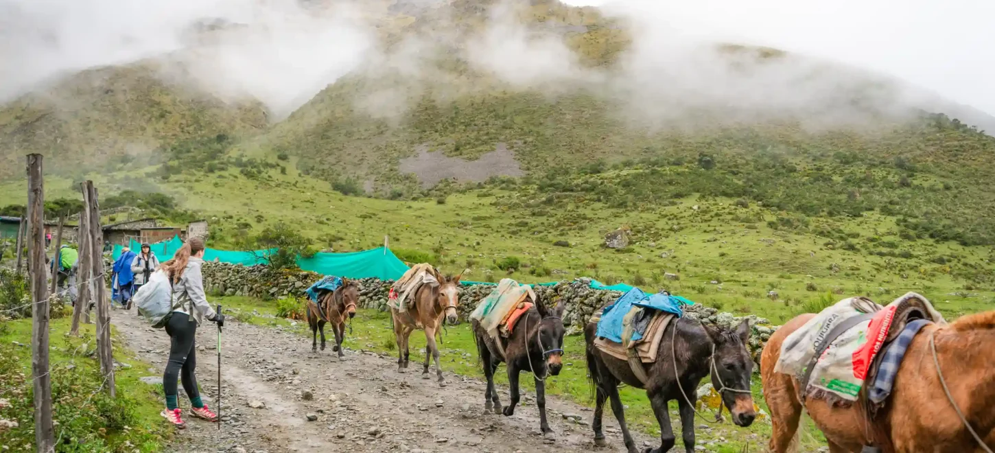 SALKANTAY TREK 3 DAYS TO MACHU PICCHU