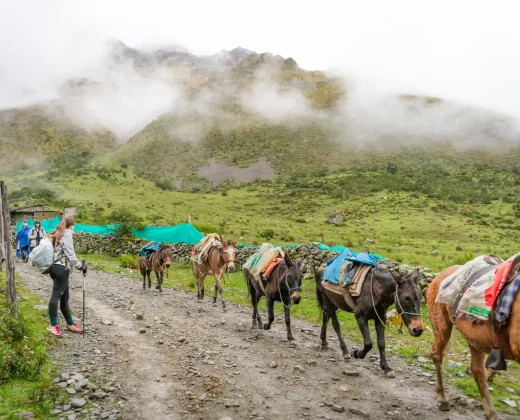 SALKANTAY TREK 4 DAYS TO MACHU PICCHU VIA LLACTAPATA: All the Highlights in Less Time