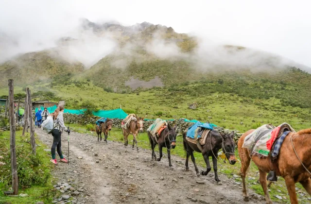 SALKANTAY TREK 4 DAYS TO MACHU PICCHU