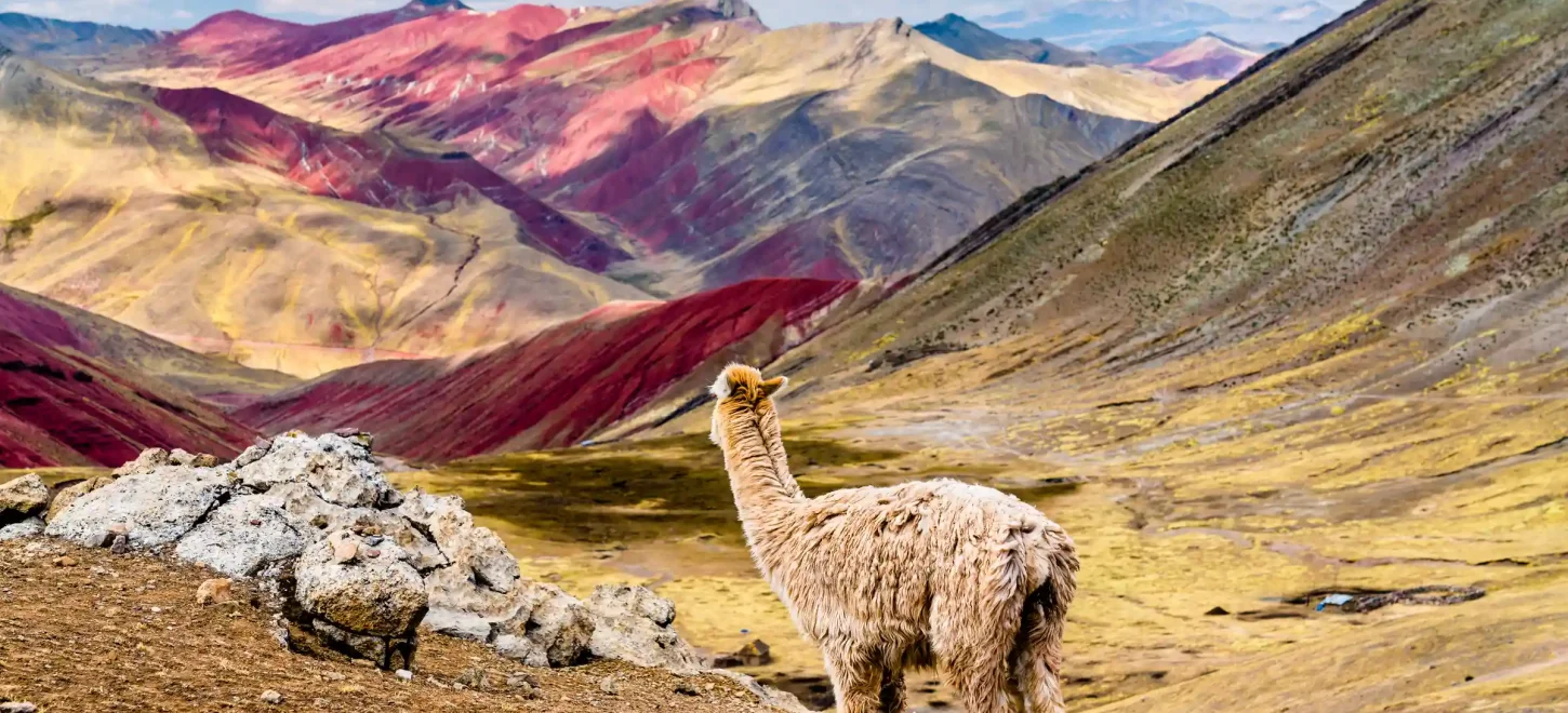 PALCOYO RAINBOW MOUNTAIN 1 DAY TOUR FROM CUSCO