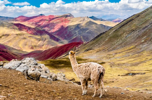 PALCOYO MOUNTAIN FULL-DAY TOUR