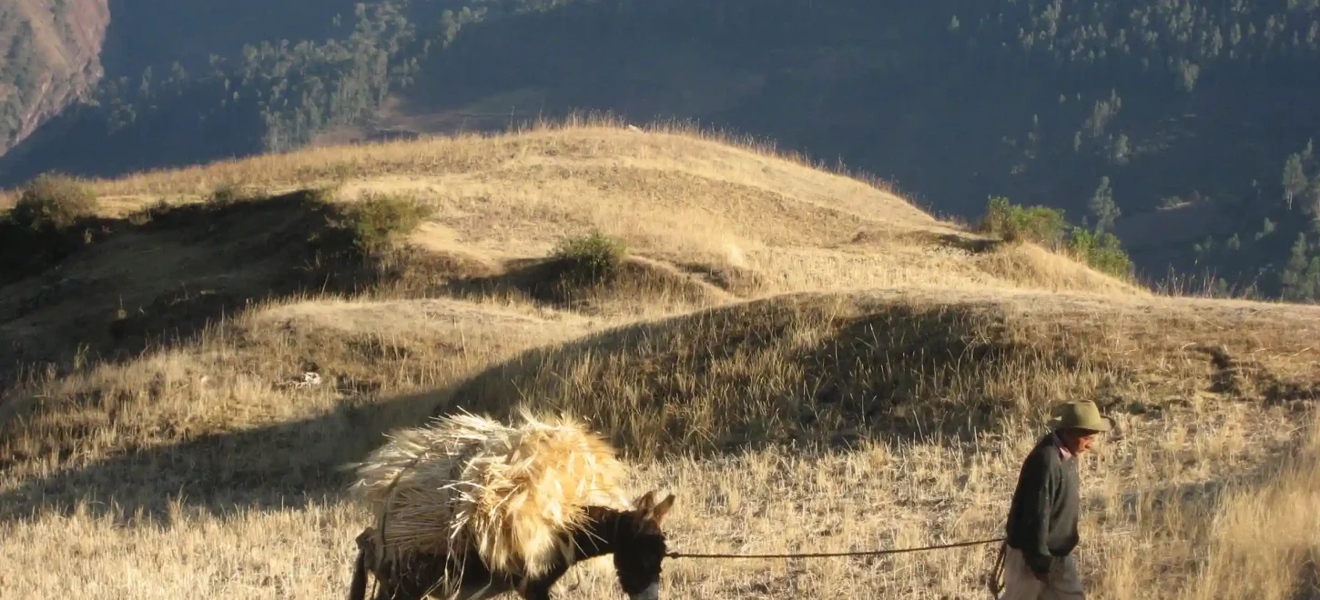 Huchuy Qosqo Trek Full Day Huchuy Qosqo Trek Full Day